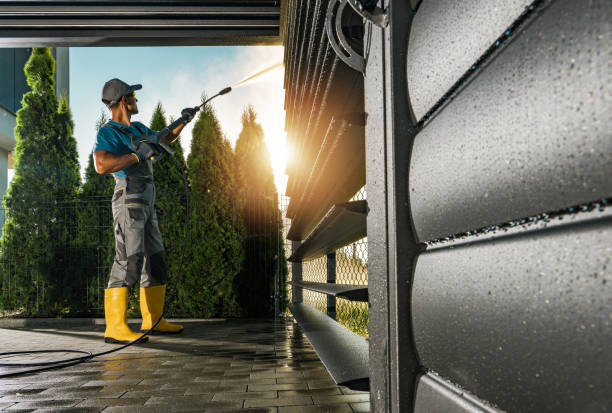 Boat and Dock Cleaning in Auburn, IL